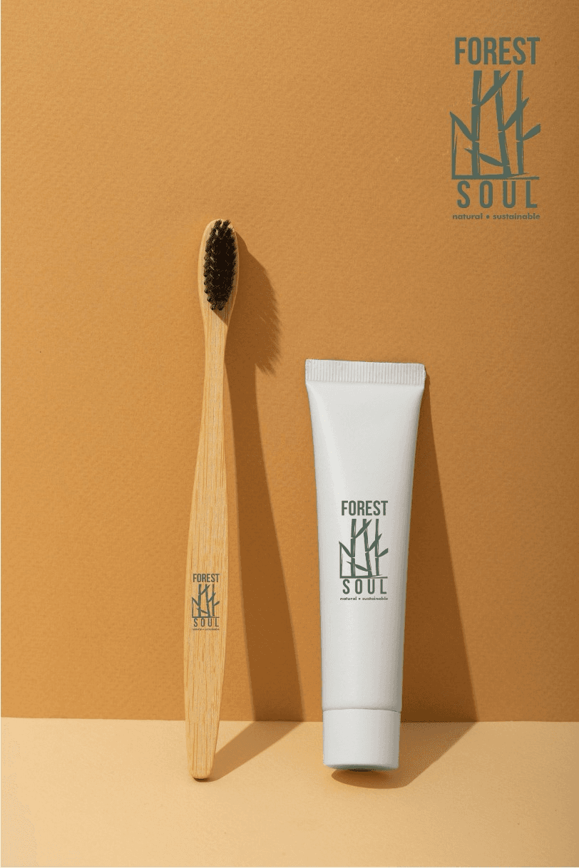 Bamboo Toothbrush & Dental kit